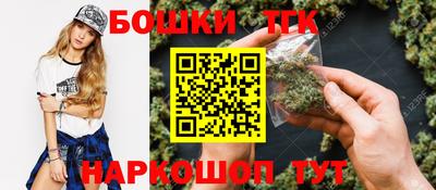 индика Будённовск