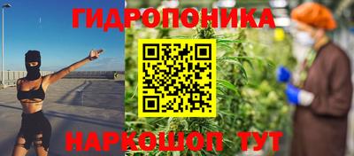 индика Будённовск